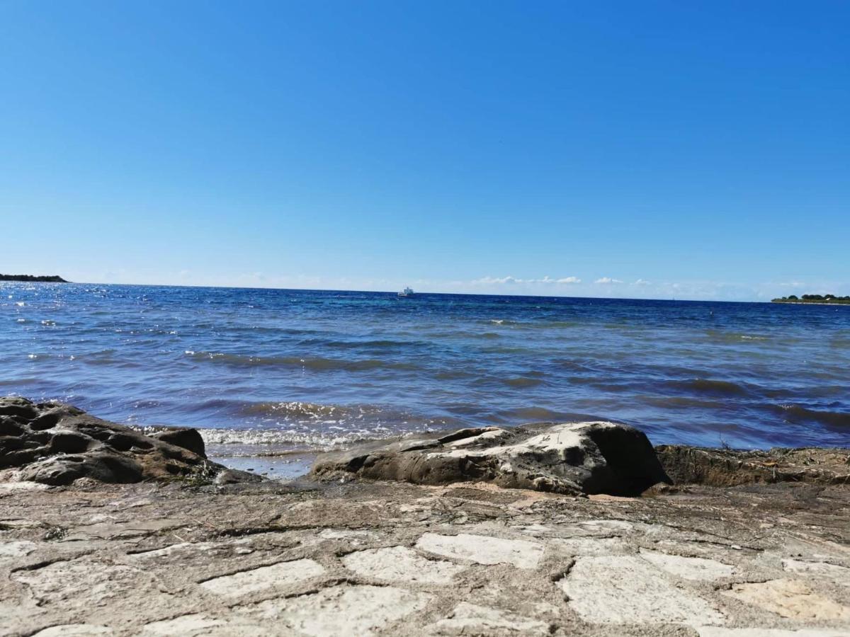 شقة App Palcic K Novigrad Istria المظهر الخارجي الصورة