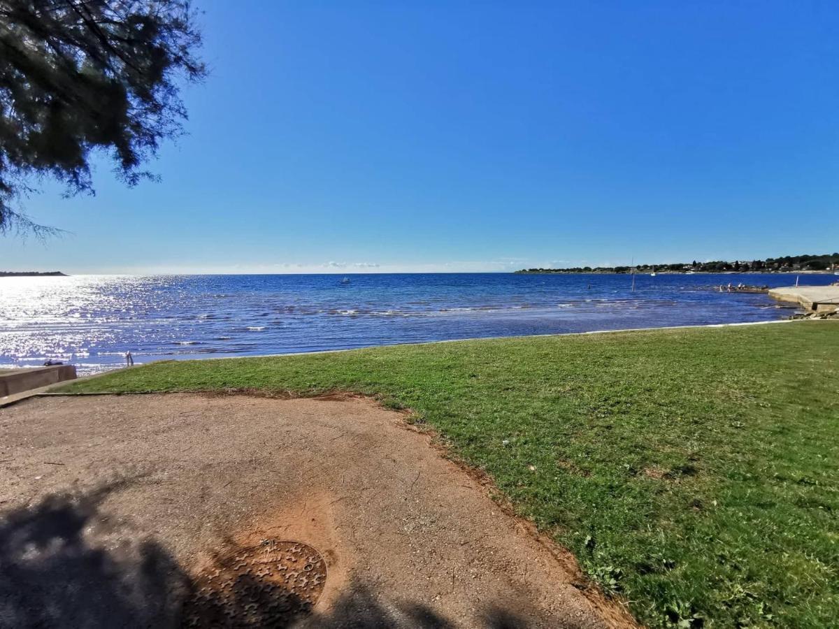 شقة App Palcic K Novigrad Istria المظهر الخارجي الصورة