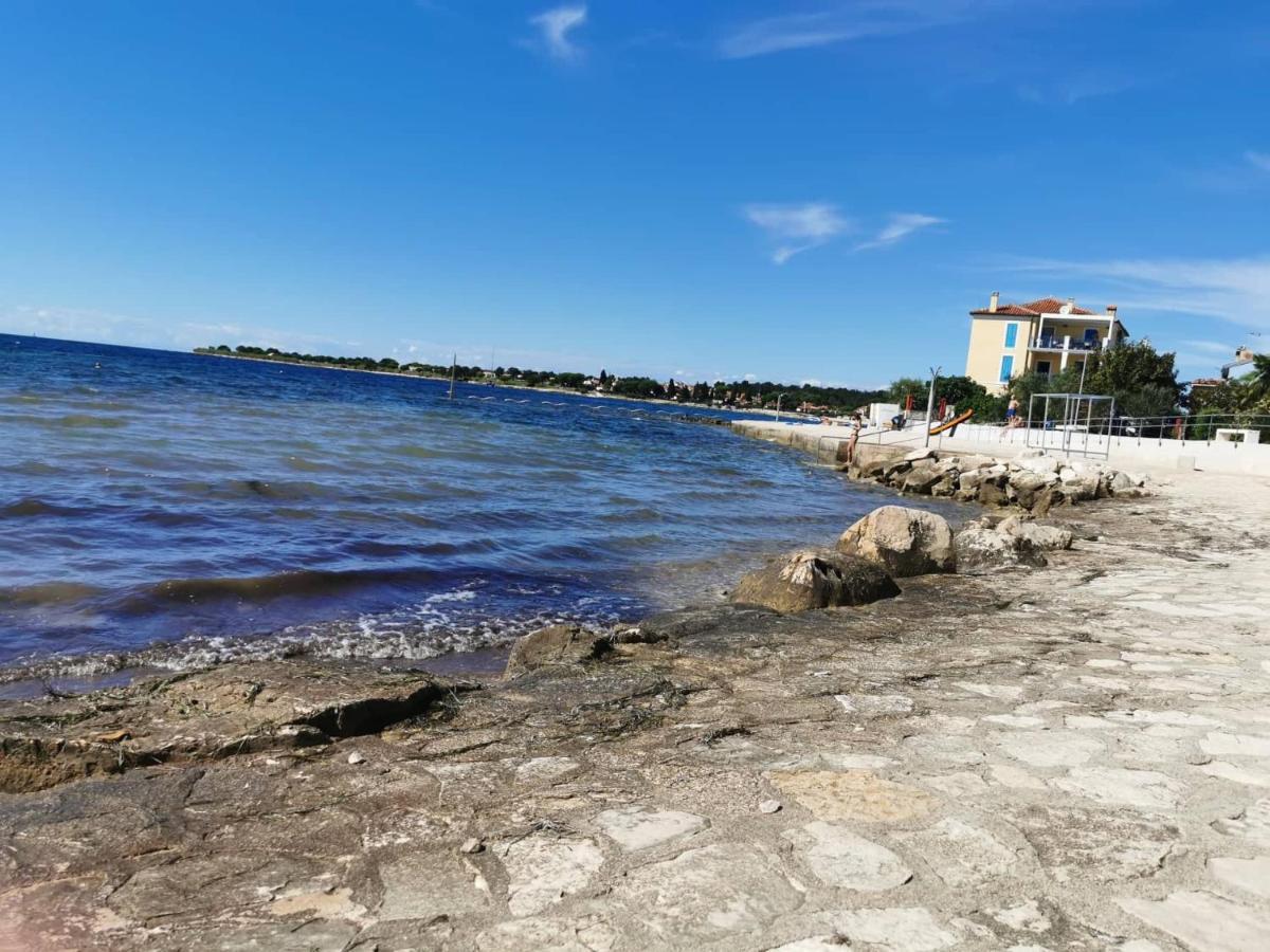 شقة App Palcic K Novigrad Istria المظهر الخارجي الصورة