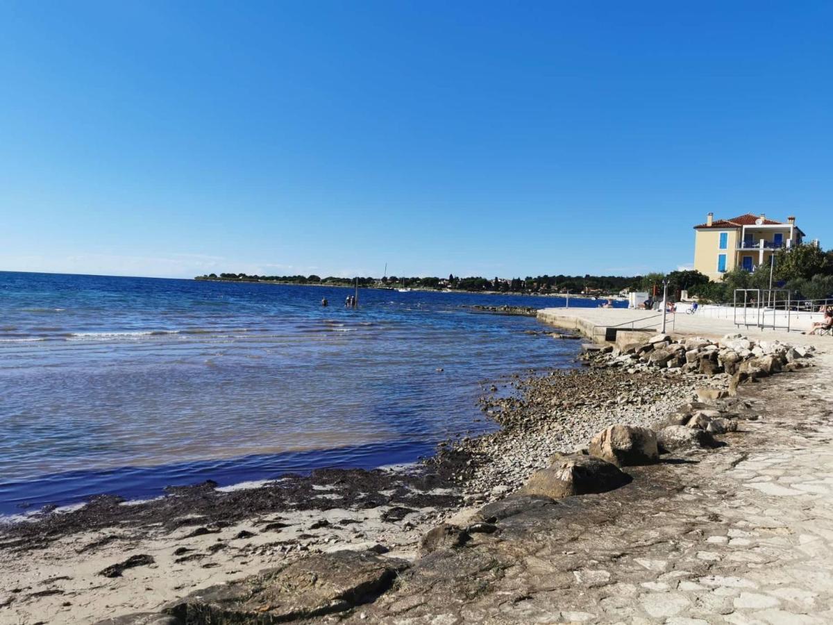 شقة App Palcic K Novigrad Istria المظهر الخارجي الصورة